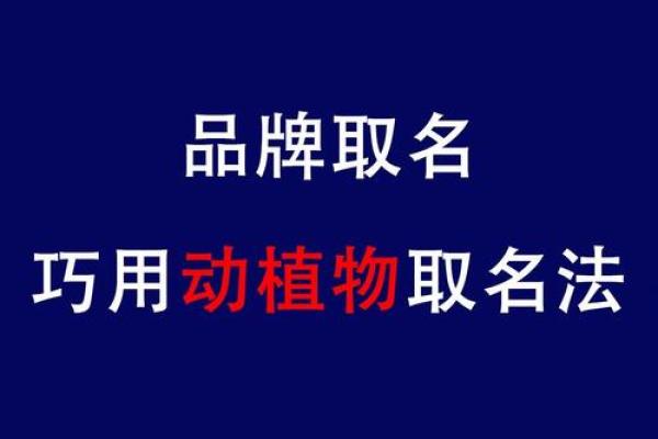 公司取名打分测试免费服务帮助你轻松选名与提升品牌形象