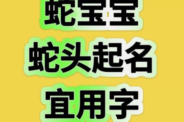 为蛇宝宝挑选一个既吉祥又独特的名字