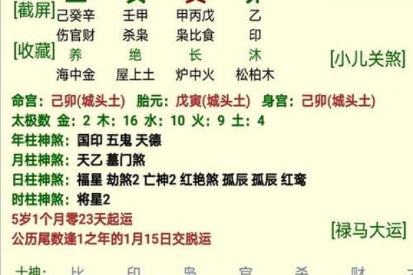 八字喜用神计算神器，精准预测未来运势