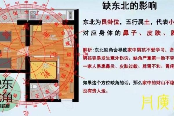 打造理想阳宅布局风水的五个实用建议