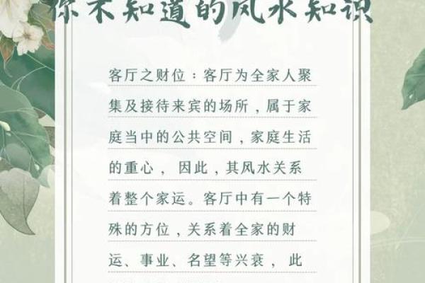 阳宅风水师如何为家庭带来财富与健康