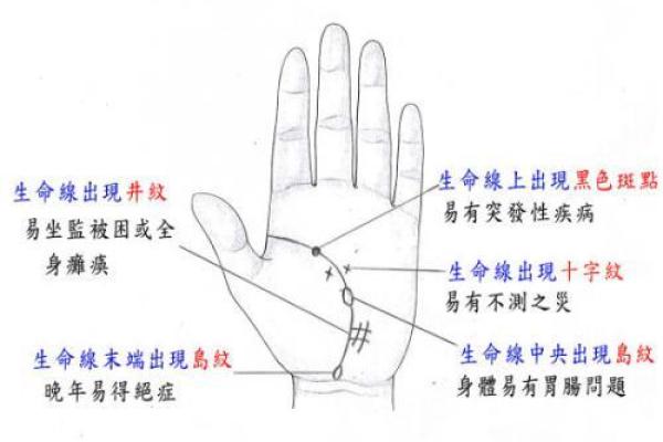 手相软件如何揭示你的人生潜力与未来趋势