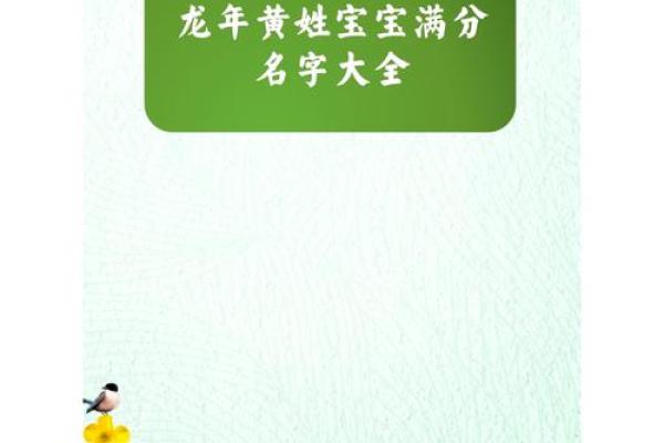 黄姓男宝宝取名推荐：寓意吉祥的名字选择指南