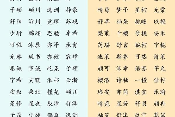 名字评分系统：帮你为孩子取个合适名字