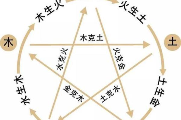 八字命理入门指南：了解五行与天干地支的奥秘