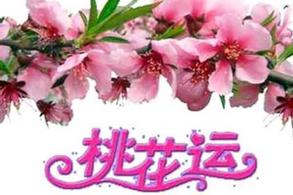 狗年桃花运旺盛?这几招风水技巧不可忽视 狗年桃花运旺盛?这几招风水技巧不可忽视