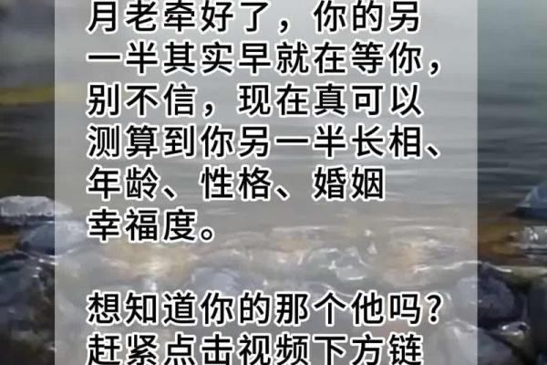 从情侣生辰八字看感情走向：如何选择最合适的伴侣