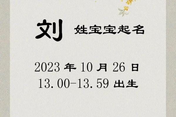 刘姓宝宝名字大全：寓意美好、音韵和谐的选择