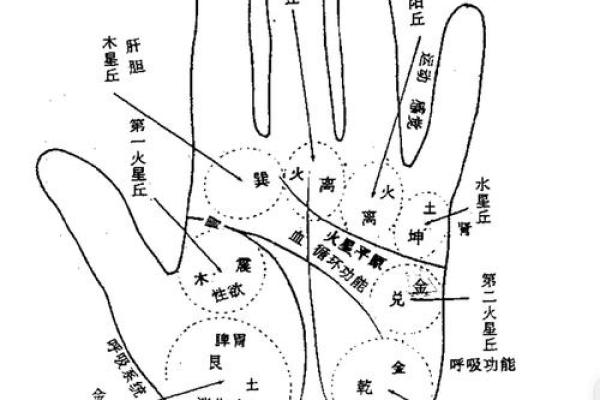 通过手相图片预测未来，掌握命运的方向