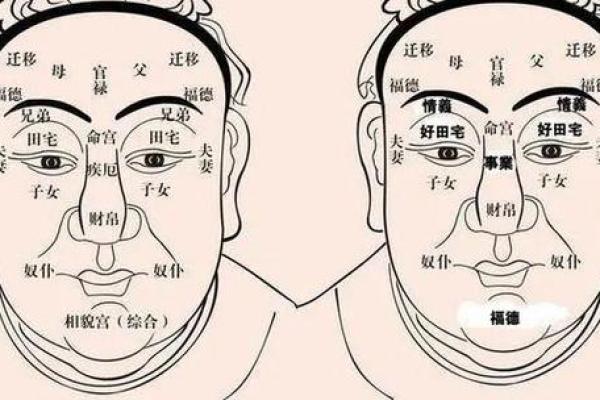 从下巴看命运：面相学中的隐藏密码