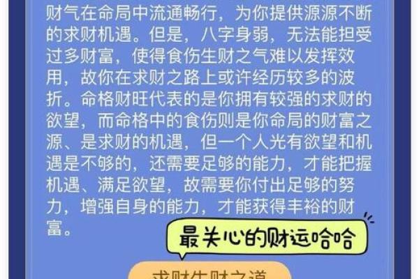 超准八字算命免费软件，轻松解读人生八字玄机