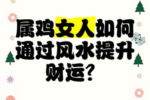 鸡如何利用风水改善感情运