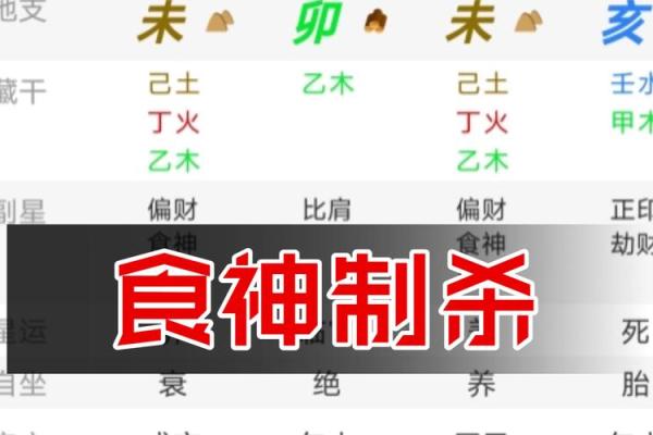 地支食神制杀在八字命理中的关键作用与实践