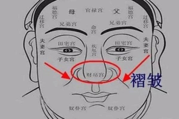 鼻子面相解析：男性鼻型与命运走向的深度关联