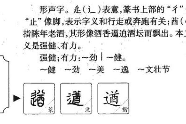 蓓蓓名字评分全解析：名字背后的深层含义