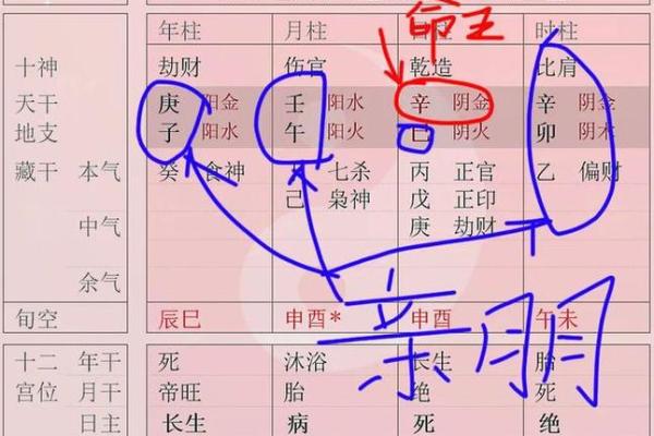 如何通过八字模型洞察人生的关键转折点