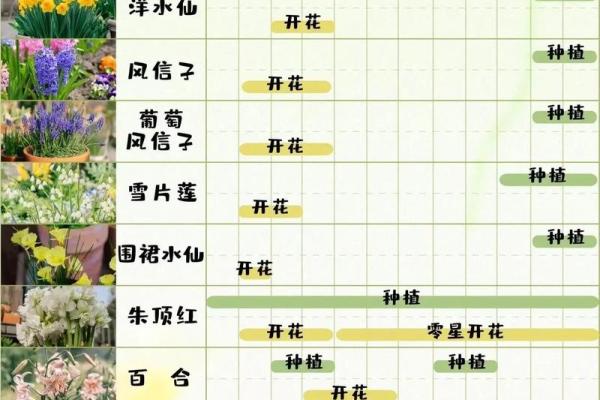 花园风水布局中的植物选择与摆放技巧