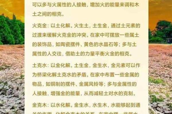 五行文化在现代生活中的应用与传承分析