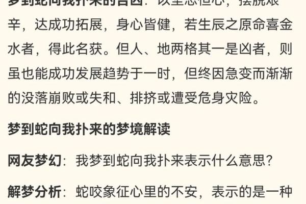 梦见打死蛇的心理解析与启示