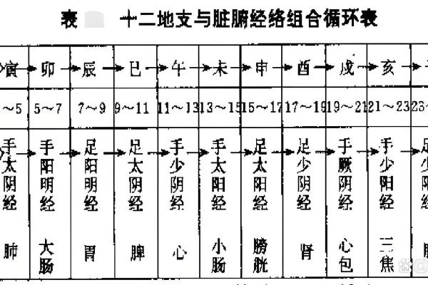 地支的起源与运作机制解析