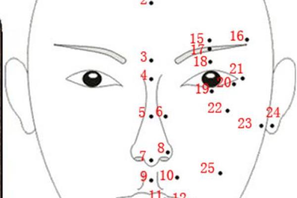 解析痣相解图：如何通过痣的位置了解性格与运势