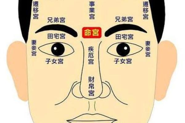 鼻子形态与命运的关系：男人面相中的隐藏信息