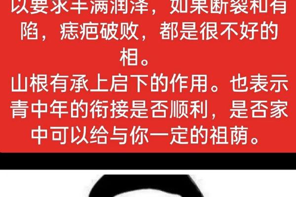 鼻子形态与命运的关系：男人面相中的隐藏信息