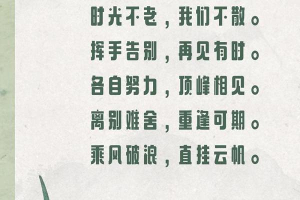 八字诗句的魅力与深意探析