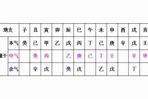 地支申在十二地支中的位置与象征意义解析