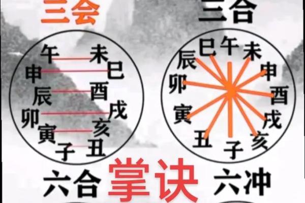 地支辰戌相冲的影响与化解方法分析