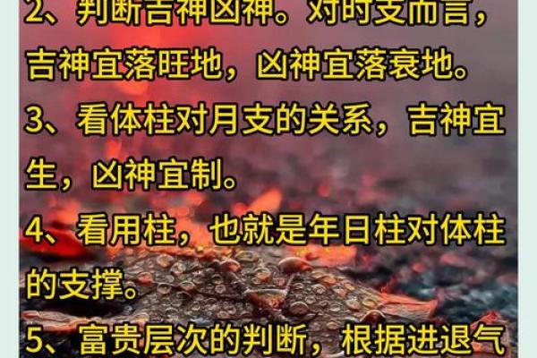 八字命理术语全面解析与应用指南