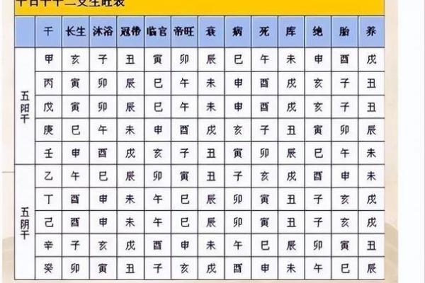 地支阴阳属性对命理分析的影响