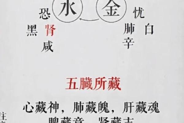 五行分类：单字与五行的契合