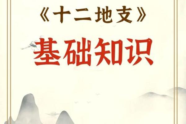 十二地支属相的神秘与文化解读