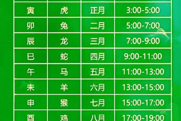 十二地支属相的神秘与文化解读