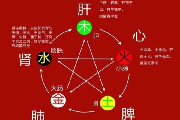 五行属什么命与运势分析