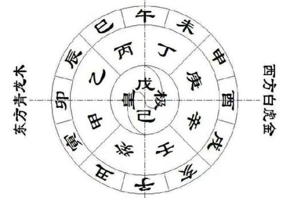 戊戌地支与五行的深层联系