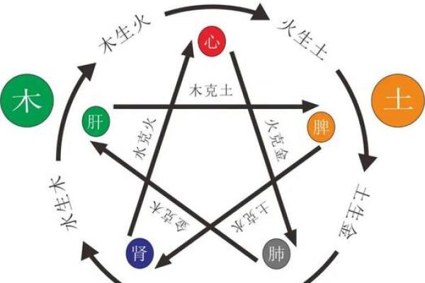 1985年命理风云：五行相生相克，运势如何转换