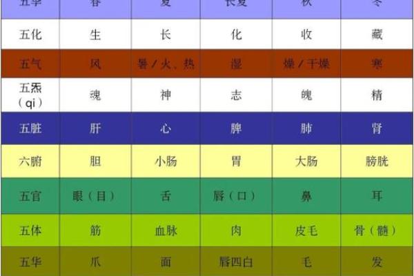 煤炭在五行中属于什么