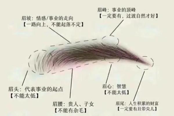 面相奥秘：解读五官间的命运密码