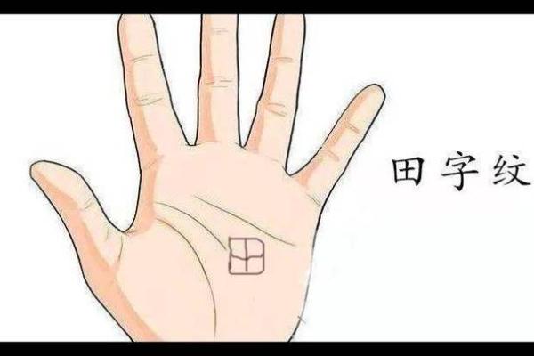 手相田字纹：掌握命运的神奇符号