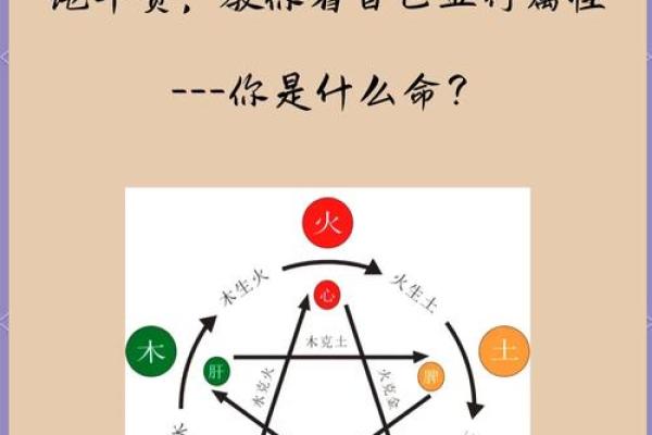 五行属什么对你的命运有何影响