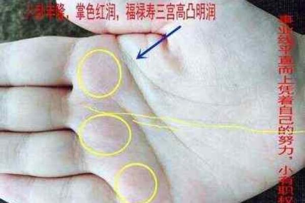 手相中的玉井线：你的运势密码，一探究竟