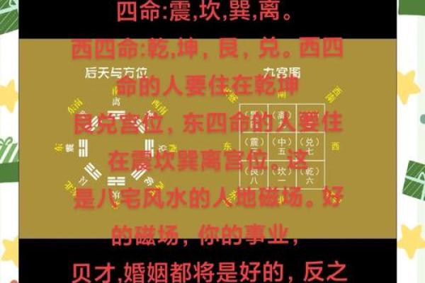 爱情渐卦，揭秘风水中的爱情密码