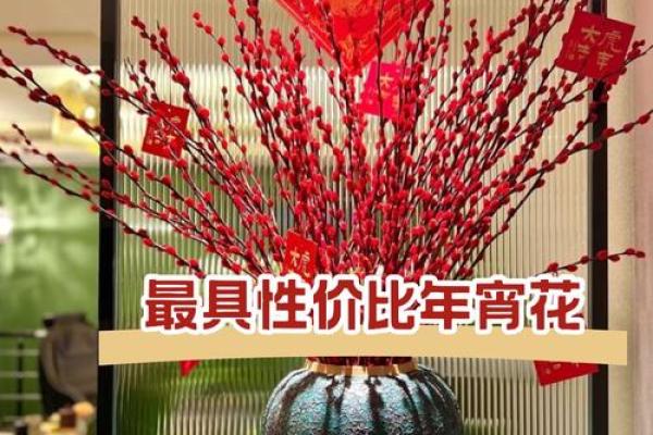 家居风水秘籍：干花布局助你招财进宝