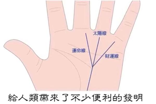 胖手相揭秘：隐藏的富贵密码！