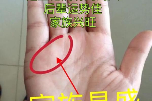 手相凶字揭秘：运势逆转的秘密武器