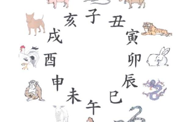 地支阴阳属性在传统文化中的重要性