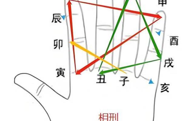 地支阴阳属性在传统文化中的重要性