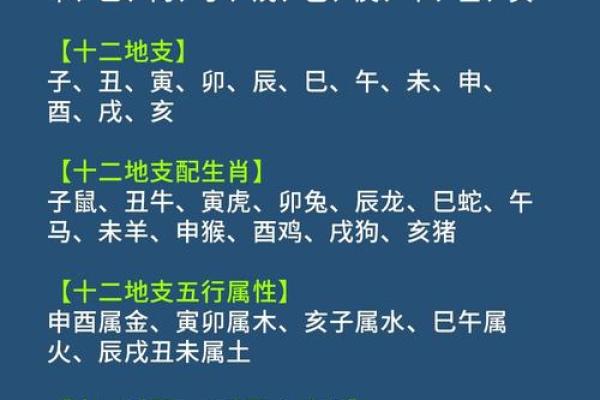 十二干支地支表格解析